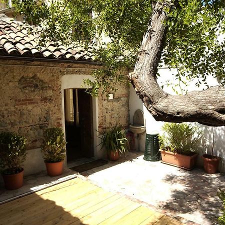 L'Albero Di Giuggiole Villa Cosenza Buitenkant foto