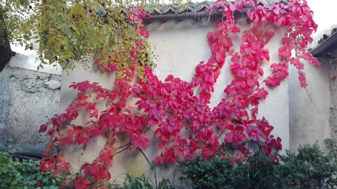 L'Albero Di Giuggiole Villa Cosenza Buitenkant foto